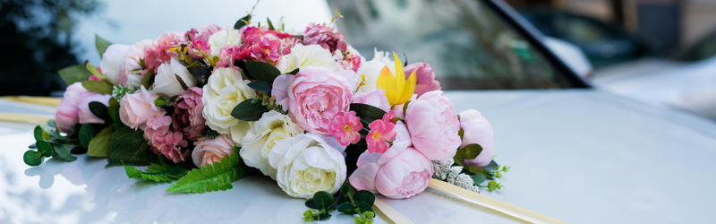 Alquiler de coches para bodas Valencia
